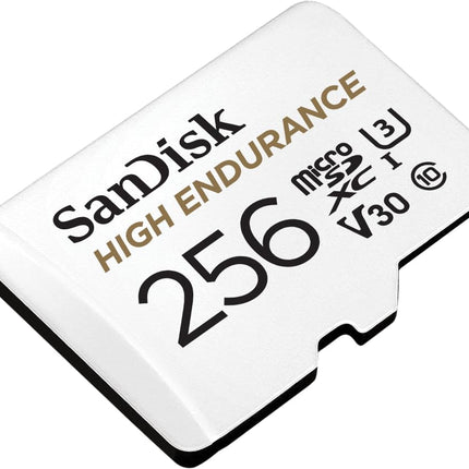 <tc>Sandisk 256 gb high endurance u3 v30 scheda microSD</tc>